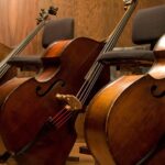 ucb’s-orchestra-hits-dud-note:-novartis-partnered-parkinson’s-asset-fails-phase-2