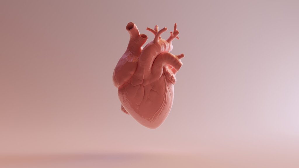 artivion-nets-fda-humanitarian-green-light-for-prosthetic-aortic-tear-implant