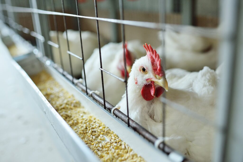 labcorp-launches-bird-flu-test-amid-first-severe-case-in-the-us