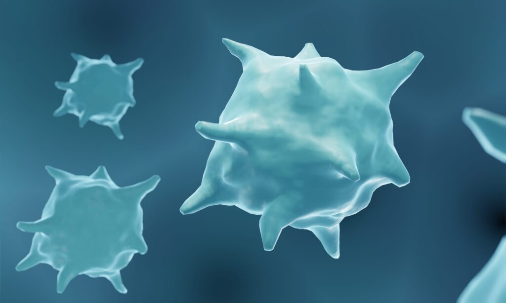 how-the-inflammatory-process-is-influenced-by-the-circadian-rhythm
