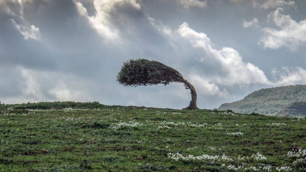 cash-strapped-windtree’s-new-strategy-involves-buying-biotechs-with-fda-approved-products