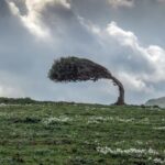 cash-strapped-windtree’s-new-strategy-involves-buying-biotechs-with-fda-approved-products