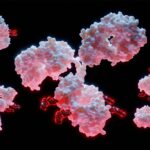lonza’s-synaffix-adds-boehringer-to-its-constellation-of-partners-with-$1.3b-adc-tech-pact