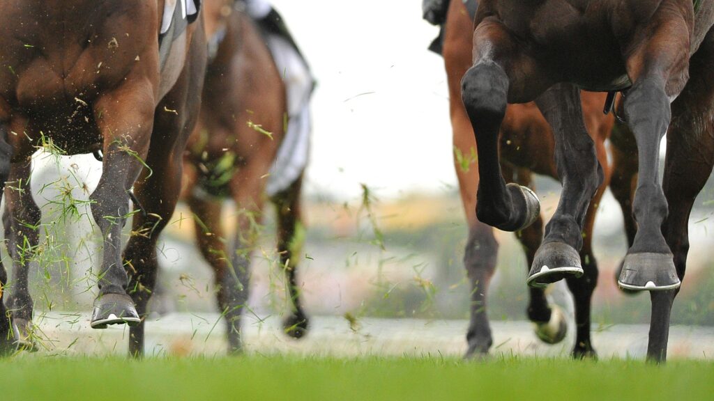 light-horse-lassos-novartis-partnership-worth-up-to-$1b,-wrangles-$62m-series-a
