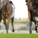 light-horse-lassos-novartis-partnership-worth-up-to-$1b,-wrangles-$62m-series-a