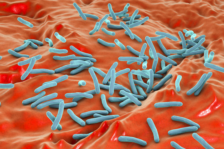 new,-safer,-tb-vaccine-with-bcg-“kill-switch”-protects-mice-and-monkeys