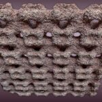 sustainable-building-features-foster-optimal-indoor-climate