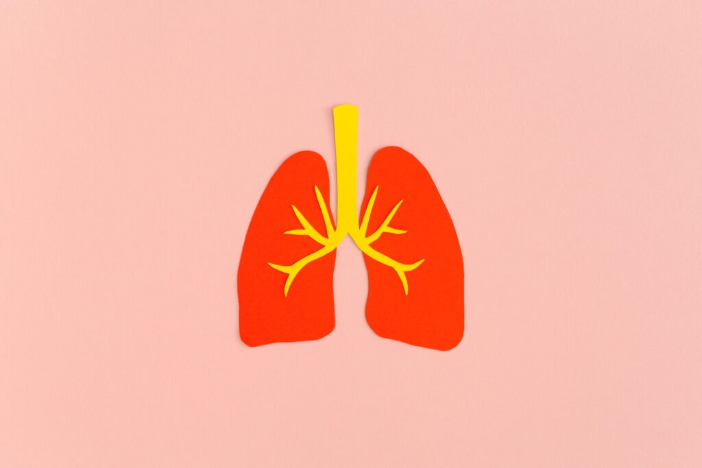 eli-lilly-pushes-into-pulmonary-fibrosis-with-$99m-deal-for-mediar’s-midphase-prospect