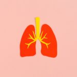 eli-lilly-pushes-into-pulmonary-fibrosis-with-$99m-deal-for-mediar’s-midphase-prospect