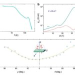 exploring-quantum-oscillations-at-the-mott-ioffe-regel-limit-in-caas3