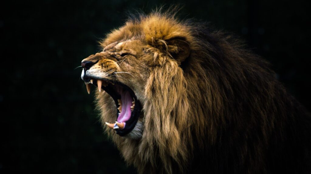 gilead-roars-into-jpm25,-inking-$1.7b-inflammation-deal-with-leo-pharma