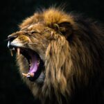 gilead-roars-into-jpm25,-inking-$1.7b-inflammation-deal-with-leo-pharma