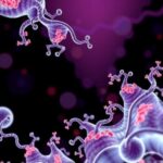 plasma-proteomics-and-social-relationships