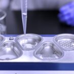 iconovo-and-lonza-agree-to-collaborate-on-the-formulation-development-of-an-intranasal-biologic