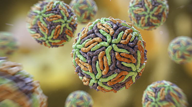 zika-virus-hijacks-protein-important-to-brain-development,-to-support-viral-replication