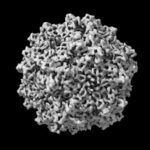 research-emphasizes-importance-of-standardized-measurement-techniques-in-gene-therapy