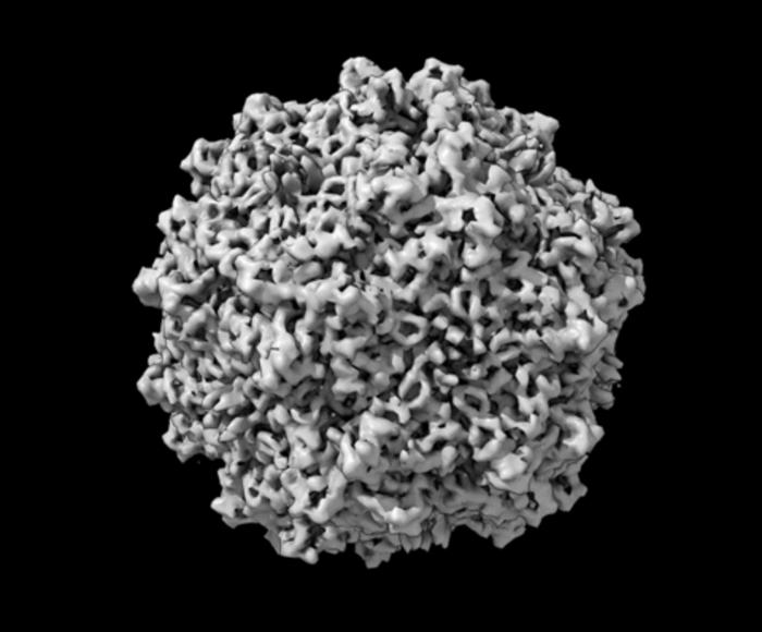 research-emphasizes-importance-of-standardized-measurement-techniques-in-gene-therapy