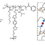 enhancing-vitrimers-with-reversible-secondary-interactions-through-dioxaborolane-metathesis