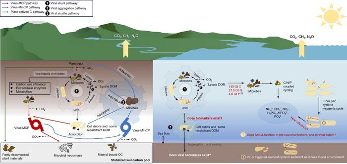 viruses:-revolutionizing-our-understanding-of-biogeochemical-cycles
