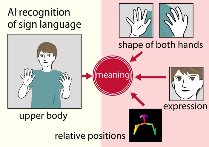 revolutionizing-communication:-innovative-technique-enhances-ai-translation-of-sign-language