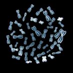 unraveling-the-complexities-of-gene-regulation:-a-comprehensive-mapping-study