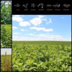 research-reveals-seed-impact-mills-significantly-diminish-waterhemp-seed-viability