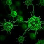 immune-complexes-enhance-stem-cell-protection-against-cancer