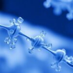 scientists-discover-innovative-mechanism-behind-intrinsic-regulation-of-sugar-cravings