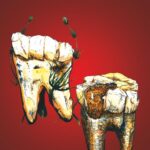 new-evidence-suggests-our-ancestors-were-vegetarians-three-million-years-ago