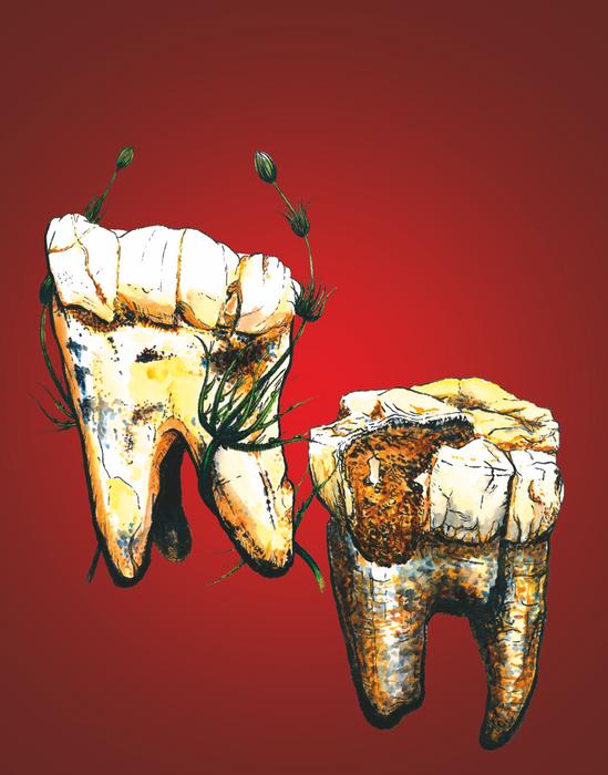 new-evidence-suggests-our-ancestors-were-vegetarians-three-million-years-ago