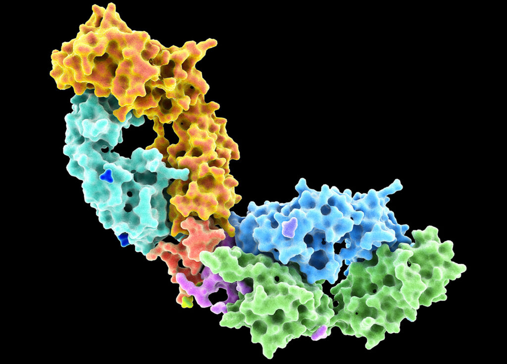 repetitive-hiv-immunization-can-elicit-anti-immune-complex-antibodies