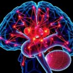 washu-researchers-chart-unique-patterns-of-brain-dynamics