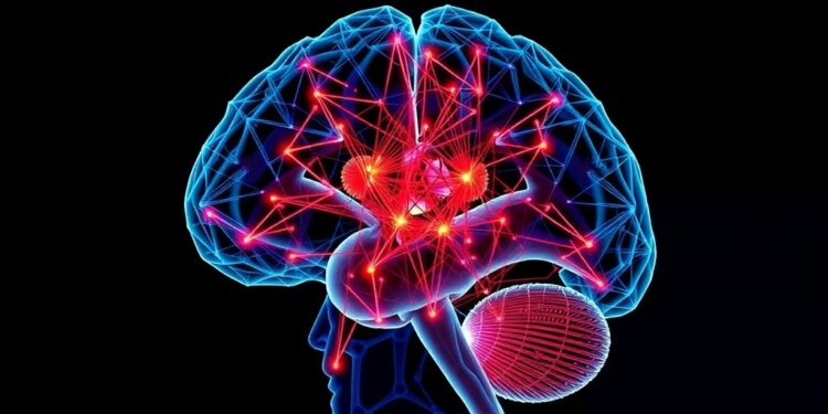 washu-researchers-chart-unique-patterns-of-brain-dynamics