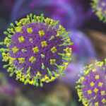 nipah-virus-polymerase-complex-structure-solved