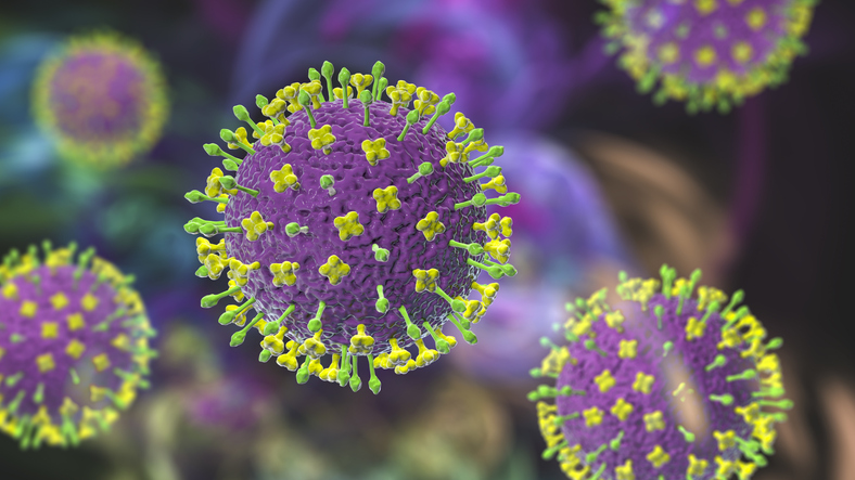 nipah-virus-polymerase-complex-structure-solved
