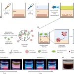 at-home-testing-for-early-detection-of-bladder-cancer:-a-breakthrough-innovation