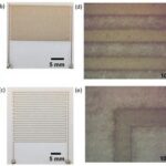 revolutionizing-global-food-supply:-the-critical-role-of-eco-friendly-sensors