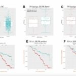 epigenetic-aging-and-dna-methylation:-emerging-tumor-markers-in-breast-cancer-research