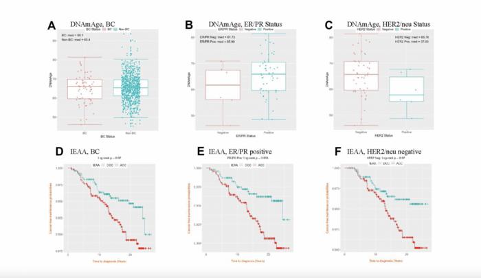 epigenetic-aging-and-dna-methylation:-emerging-tumor-markers-in-breast-cancer-research