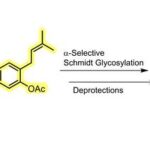 exploring-new-horizons-in-organic-chemistry:-synthesis-of-a-promising-compound-from-mushrooms