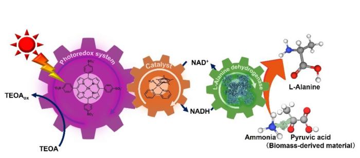 revolutionary-biodegradable-nylon-precursor-created-via-artificial-photosynthesis