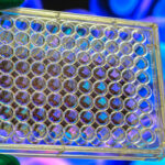 artificial-intelligence-heralds-“google-maps”-for-cell-culture