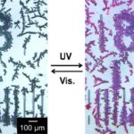 controlling-crystal-orientation-of-diarylethene-achieved-for-the-first-time
