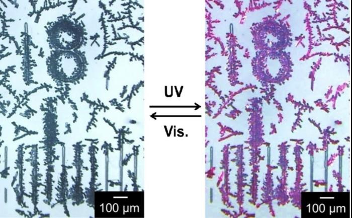 controlling-crystal-orientation-of-diarylethene-achieved-for-the-first-time