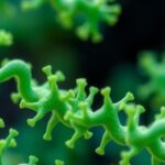 engineering-proteins-with-environmental-considerations-in-focus