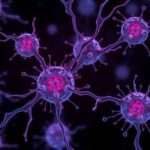 breaking-down-cancer-cell-clusters:-a-new-approach-to-halting-metastasis