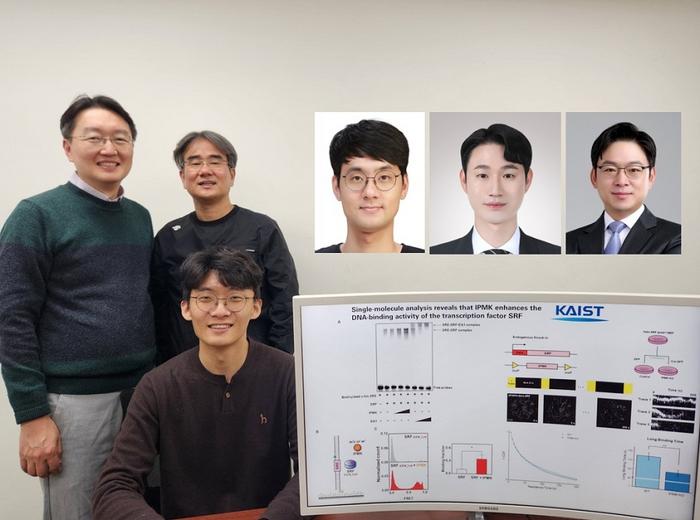 kaist-reveals-key-principles-of-gene-expression-regulation-in-cancer-and-cellular-functions