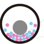 exploring-the-theory-behind-mechanochemical-reaction-rates