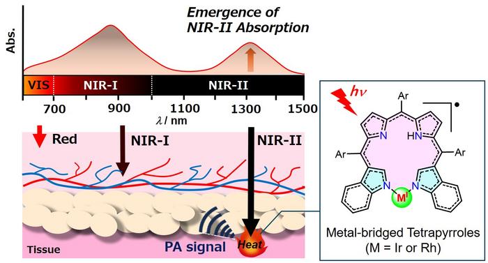 revolutionary-dyes-enhance-photothermal-cancer-treatment-and-diagnostics