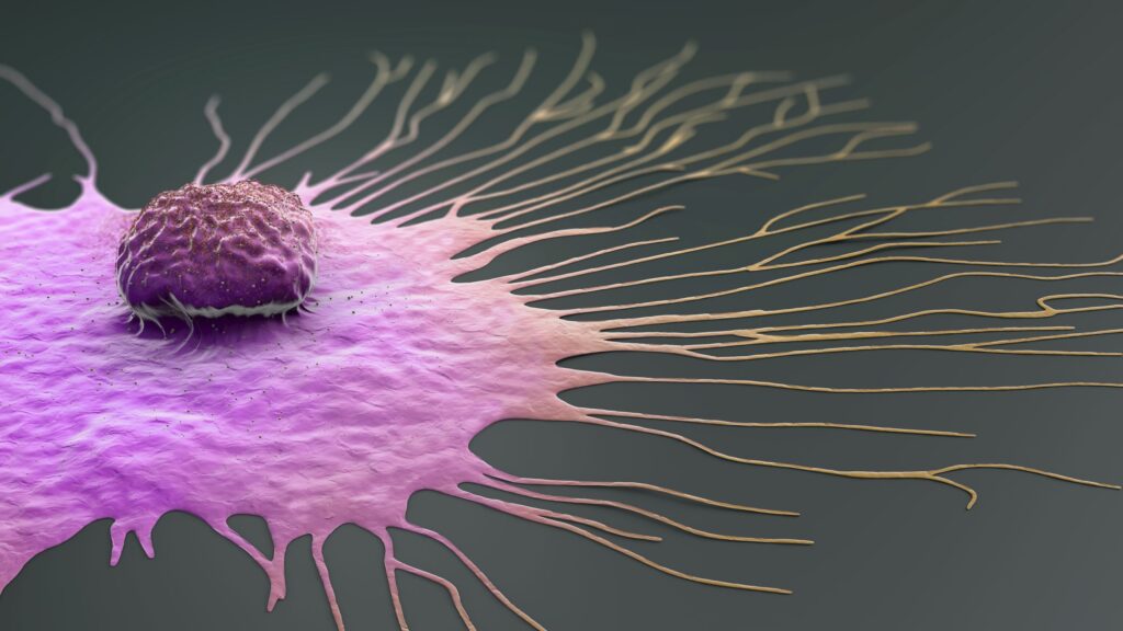 circulating-tumor-cell-cluster-size-decreased-with-digoxin-in-breast-cancer-patients
